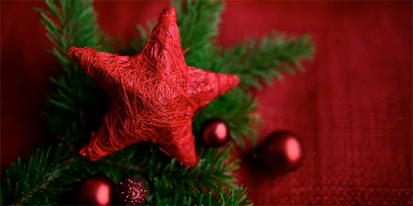 Wir wünschen frohe Weihnachten …